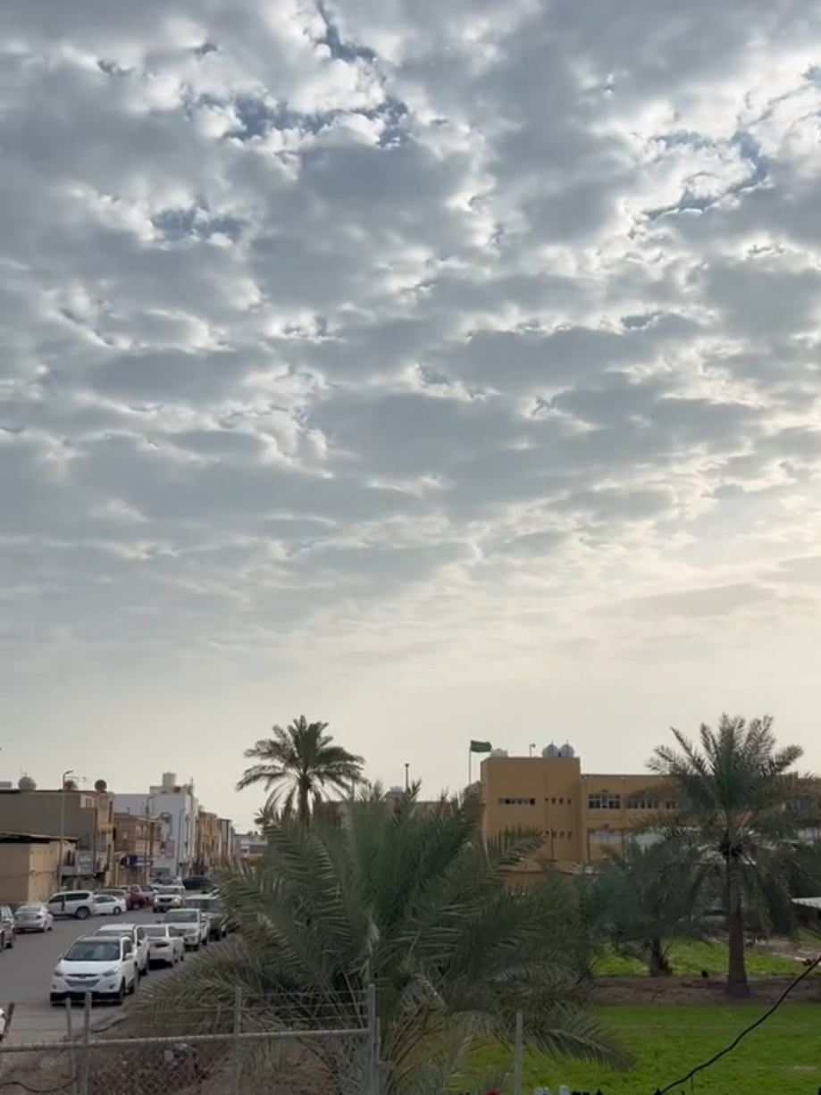 قديحنا😜 #القديح #القديح_القطيف_العوامية_صفوى #القطيف 