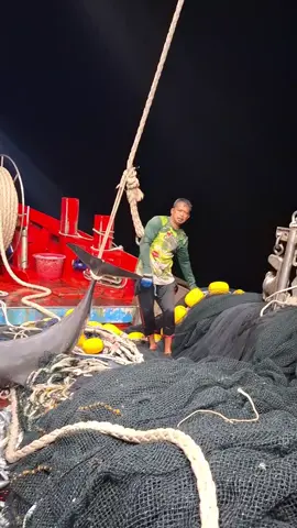 ใหญ่กว่านี้มีอีกไหม🐬🐬🐬