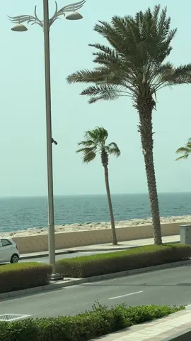 #dubai 