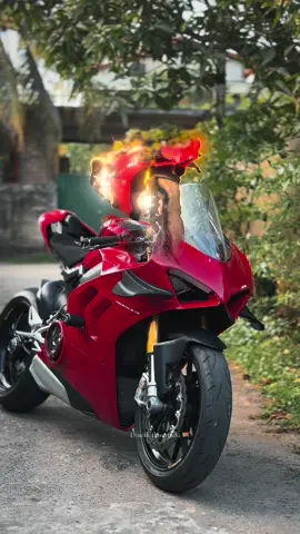 සැප නැව් ❤️‍🔥#ducati #ducativ4s #ducatipanigale #bikelife #bikelover #onemillionaudition #foryou #fyp 