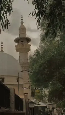 لااعرف كيف أبدا ولااعرف كيف أنهي🩶🪞