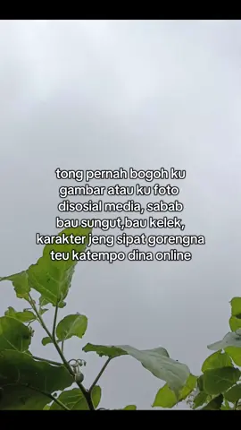 kudu papanggih heula . . . #katakatasunda #katakata #sunda #storysunda #bahanswmu #lewatberanda ##4u #foryou #fyp #fyppppppppppppppppppppppp 