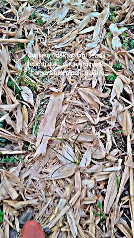 kembalikan sumpah janjiku dulu #strywatsapp #bugisperide🔥🌴 #storyanabugis☆ 
