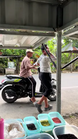 Awww pancong lumer cmb kedatangan putri kecil ayah #panconglumercmb #iyancmb #fyp #putrikecilayah #videolucu 