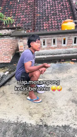 info kelas berat #psambitan #turudek #turudek🥴🤙 #fy #tulungagubg24jam 