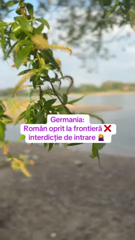 Controalele de rutina au dus la descoperirea infractorilor 💮 #stop #germania #fyppppppppppppppppppppppp #viataingermania #stirigermania 