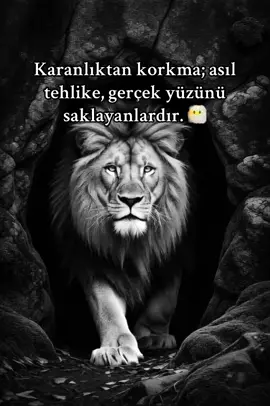 Karanlıktan korkma; asıl tehlike, gerçek yüzünü saklayanlardır. 😶‍🌫️#kurt #kurtlarvadisi #korkma #gerçekler #tiktoktürkiye 