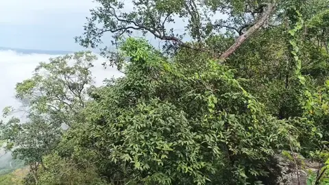 ខ្ញុំមិនចង់បានម៉ូតូ ទូរស័ព្ទអ្វីដូចគេទេ ខ្ញុំចង់បានតែសន្តិភាព បានវិលត្រឡប់ទៅជួបជុំគ្រួសារដូចដើមវិញប៉ុន្នឹងទេ🙏🇰🇭 #ទាហានព្រំដែន👨🏼‍✈️ 