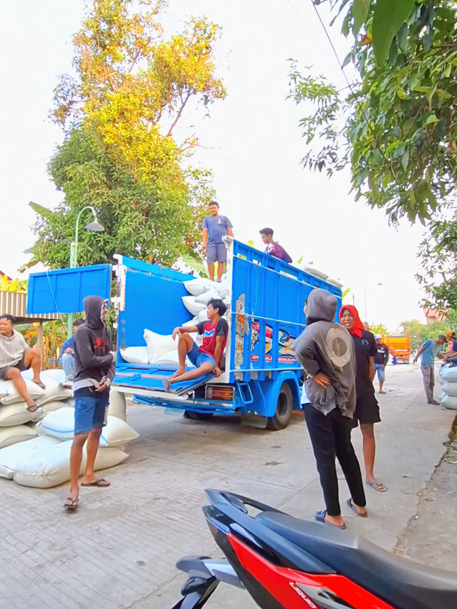 #republikgabah🌾 #gabahbalap🌾 #demak24jam #kudus24jam 