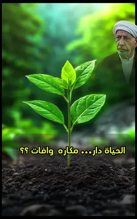 #الحياة#دار#مكاره #وشقاء #دررالكلام_الشيخ_احمدالوائلي_ 