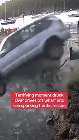 Terrifying moment a pensioner flies her car into the sea while allegedly drunk at the wheel. The SUV smashed through a glass bike shelter and plunged into the ocean. Read the full story at the link above. #News #CarCrash #TerrifyingNews #SeaRescue 