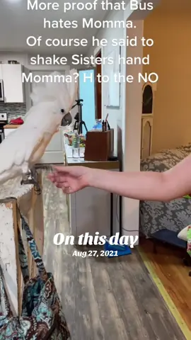 #fypシ゚viral #mom #sister #funny