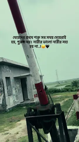মেয়েদের প্রথম শক্র সব সময় মেয়েরাই হয়, পুরুষ নয়। নারীর ভালো নারীর সহ্য হয় না...!😄🖤 #foryou #foryoupage #unfrezzmyaccount @For You 