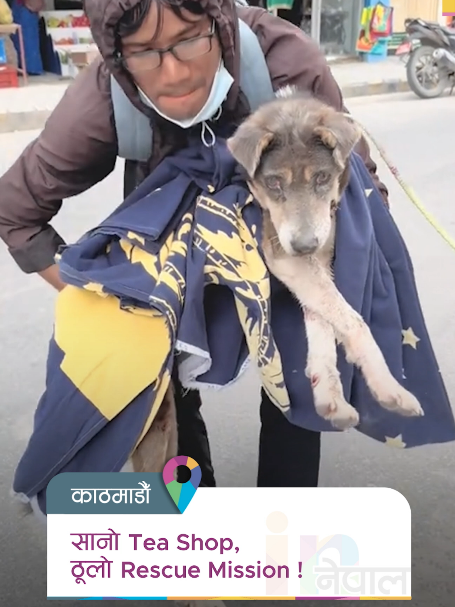 In Baneshwor’s Milan Chowk, Tuluram Rajbanshi started ‘Chiya Sewa’, a tea shop with a big heart. Here, every cup of tea sold goes towards rescuing, treating, vaccinating, and sterilizing injured and homeless dogs. At this dog-friendly spot, rescued pups like Happy and Kanchi sit alongside customers, making it a space filled with warmth and compassion. Tuluram’s journey shows how a small business can fuel a big mission! #innnepal #foryou #fyp #innepal #Positivestory #successstory #chiyasewa