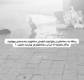 #d_shex #foryoupage #explore 