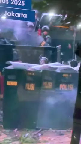 ngapain juga nantangin kayak gini #demo #polisi