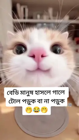 #fouryoupage funny video 😂😂😂