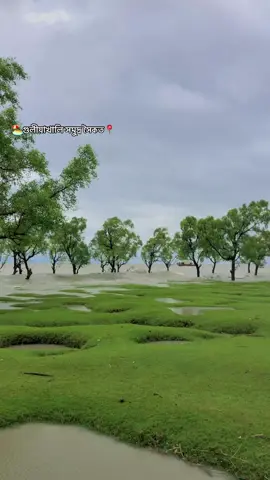 গুলীয়াখালি সমুদ্র সৈকত সীতাকুণ্ড চট্টগ্রাম 🏖️🛶🏝️🏖️💁‍♂️🌺🇧🇩📍🥰🫶🥀🇧🇩📍