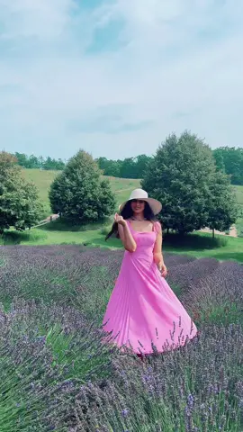 💜 أكبر مزرعة لافندر في ميشيغان! تخيلوا تمشون بين 33 فدان مليان بنفسج وريحة تعبي المكان 🌿✨ تجربة ولا أروع، من الحقول إلى المنتجات الطبيعية وحتى الفعاليات الصيفية 🎶🌸 أفضل وقت للزيارة؟ من منتصف يوليو إلى بداية أغسطس، وقت التفتح الكامل للزهور 🌞 📍 Lavender Hill Farm, 7354 Horton Bay Rd N, Boyne City, MI 49712 #Michigan #Lavender #BoyneCity # #lavenderhillfarm 