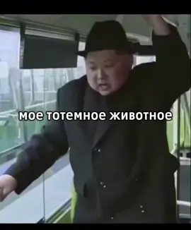 мое тотемное животное