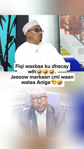 🤣🤣🤣🤣#somaliatiktok #somalilandtiktok💚🤍❤ #galmudug💙🤍💚🇸🇴👑❤💯hamplyo #somalilandtiktok💚🤍❤ #somaliatiktok 
