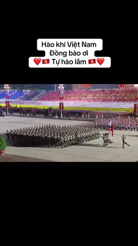 Hào khí Việt Nam ❤️🇻🇳❤️ #quandoinhandanvietnam #lichsuvietnam #tuhaovietnam #dieubinh #haokhivietnam 