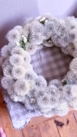 Pusteblumenkranz 🤍 DIY und wie er nach über einem halben Jahr aussieht 🥹 #löwenzahn #pusteblume #dandelions #dandelion #wreaths #DIY #basteln #naturdeko #garten #blumekranz #decoration 