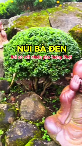 Tọa lạc ở độ cao 986m, quần thể công trình tâm linh trên đỉnh núi Bà Đen không chỉ có tượng Phật Bà Tây Bổ Đà Sơn, mà còn bao gồm nhiều không gian trải nghiệm mang đậm văn hóa Phật giáo. Các pho tượng tại đây không chỉ là những công trình kiến trúc tôn giáo kỳ vĩ mà còn là biểu tượng của niềm tin, hy vọng và sự an lạc cho du khách. —- #nuibaden  #dulichtayninh  #loanhquanhtayninh 