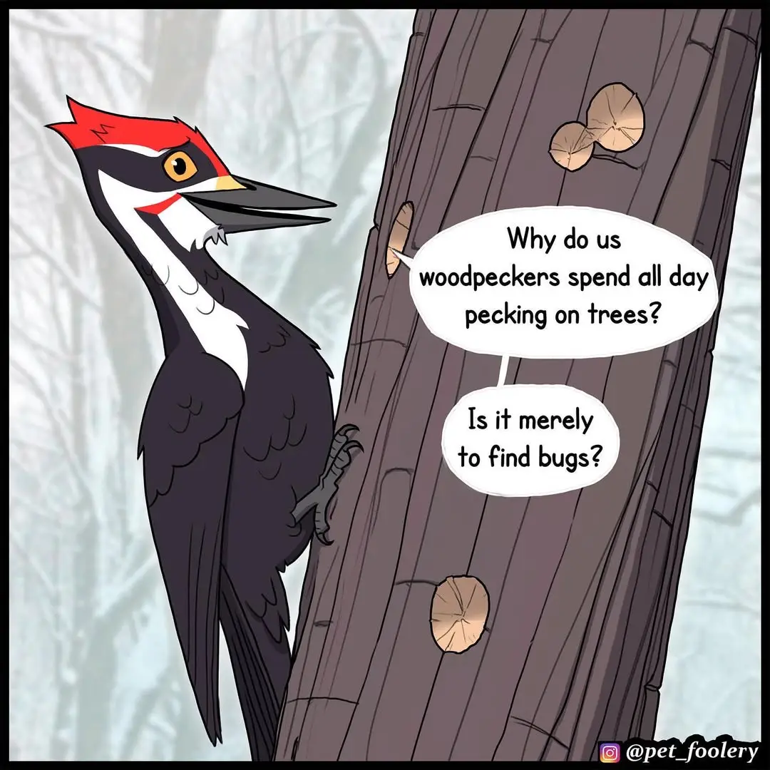 Credits: pet_foolery #webcomic #fyp #runeft 
