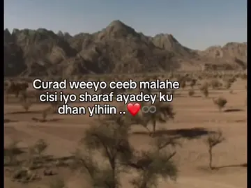 Yepp❤️ . .