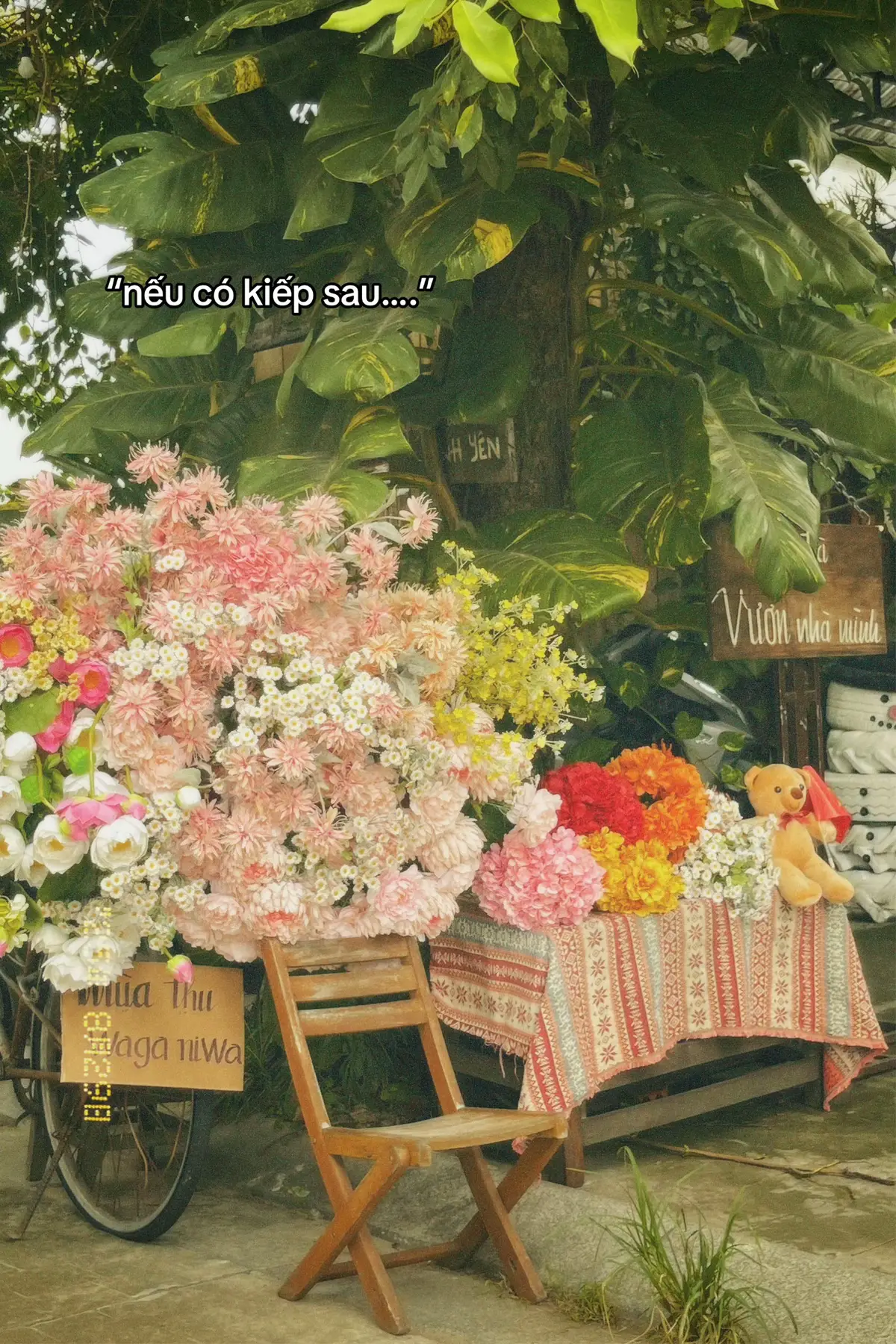 Nếu có kiếp sau, dù chỉ là một ngọn cỏ nhỏ bé cũng muốn được mọc trên đất Việt Nam 🇻🇳🥰 @ #76quangngai #fyp #ngocbaovien #vuonnhaminh 