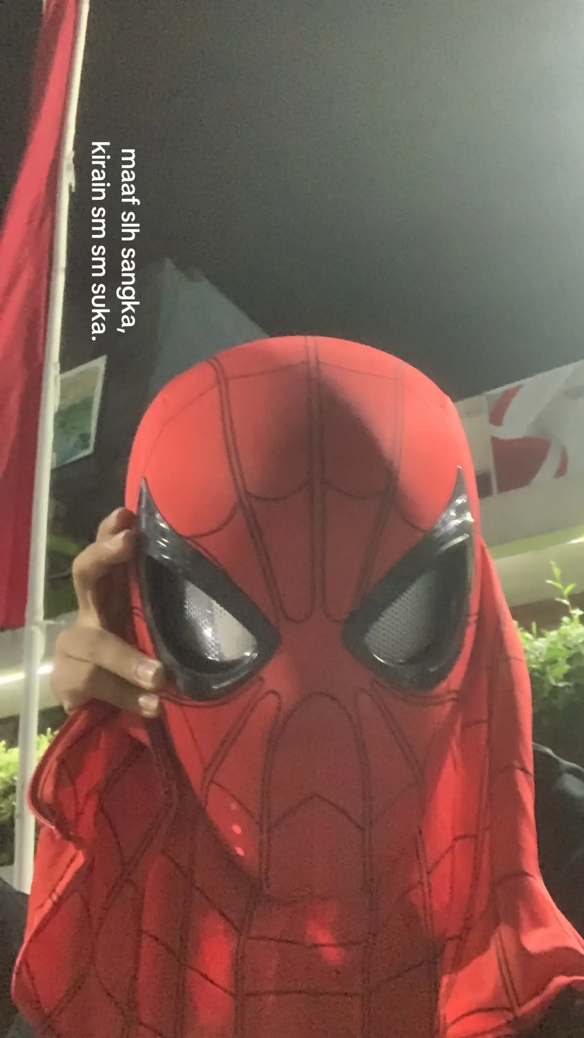 🕸️🕷️