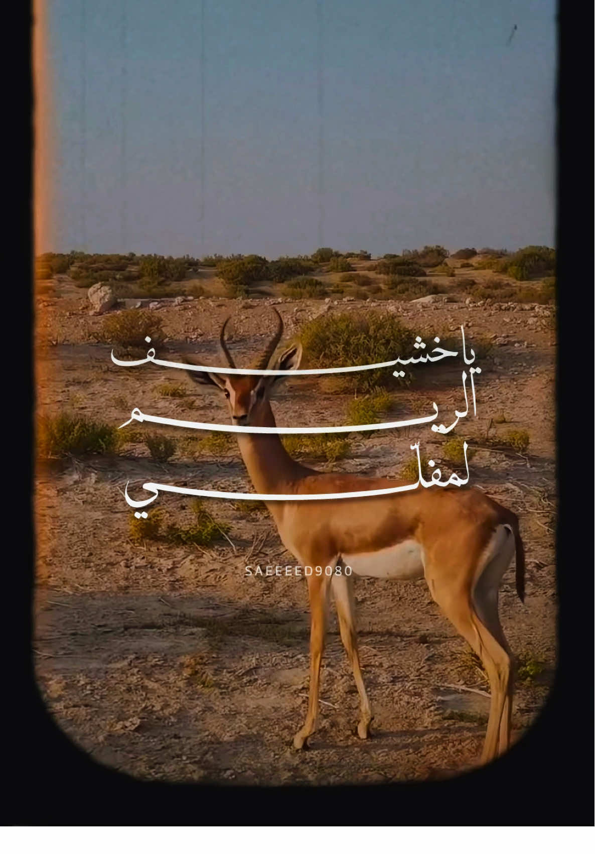 #ميحد_حمد #ميحد ‏#tiktok #explore #تيك_توك 