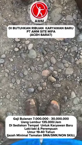 DI BUTUHKAN RIBUAN  KARYAWAN BARU PT AMM SITE MIFA  (ACEH BARAT)  Gaji Bulanan 7.000.000 - 30.000.000 Uang Lembur 135.000/Jam Di Sediakan Tempat  Untuk Karyawan Baru Laki-laki & Perempuan Umur 19-40 Tahun Ijazah Minimal Tamatan SMA/SMK/NON SKILL UNTUK DAFTAR SILAHKAN KLIK LINK YANG ADA DI BIO #lokerterbaru #lowonganpekerjaan #ptamm #batubaraacehbarat #anaktambang 