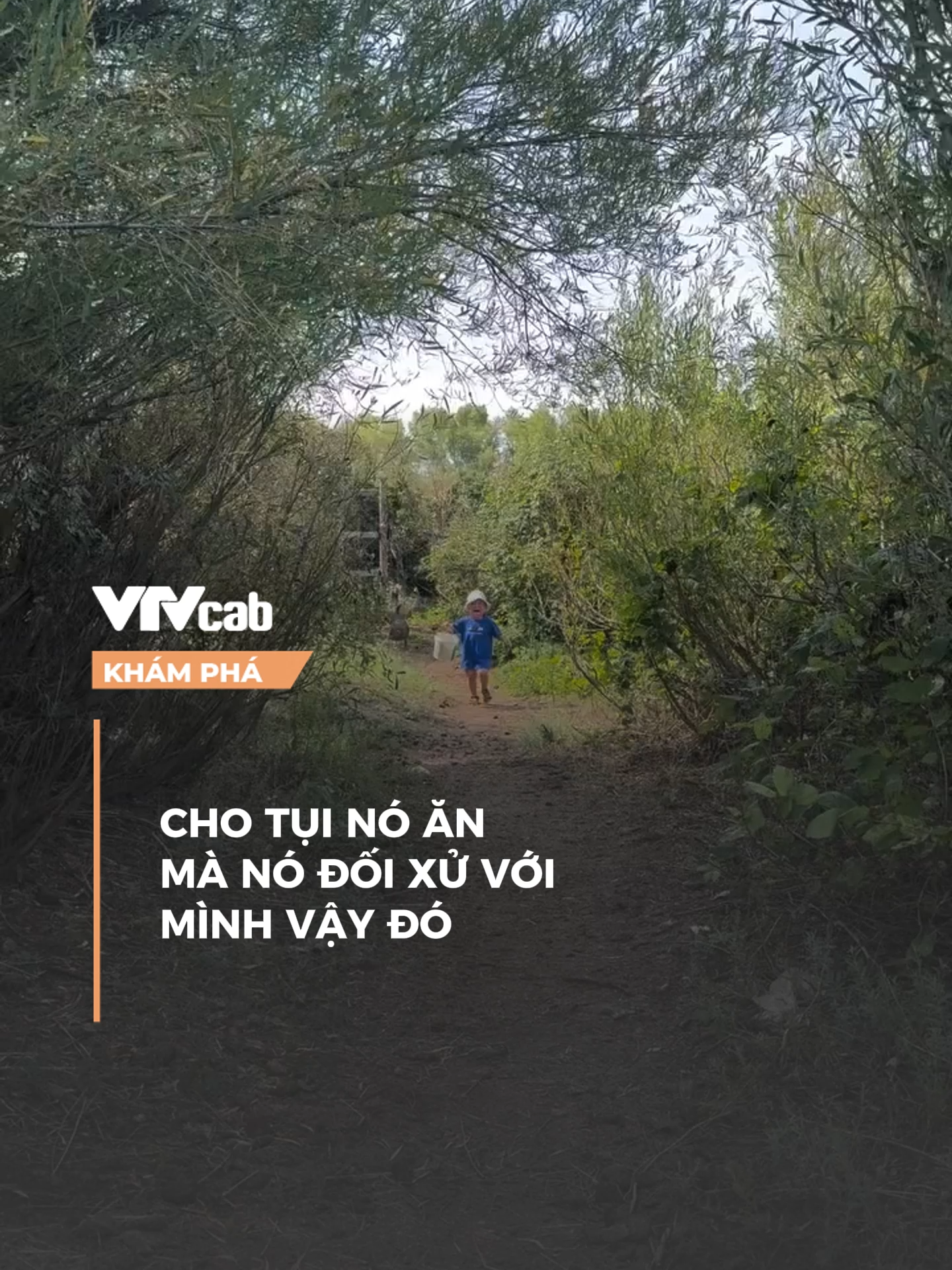 Nuôi ngỗng tay áo #vtvcab #vtvcabkhampha #xuhuong #khampha #nqh
