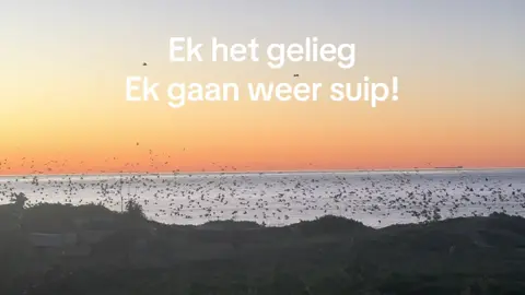 Ek wil nie ophou nie!