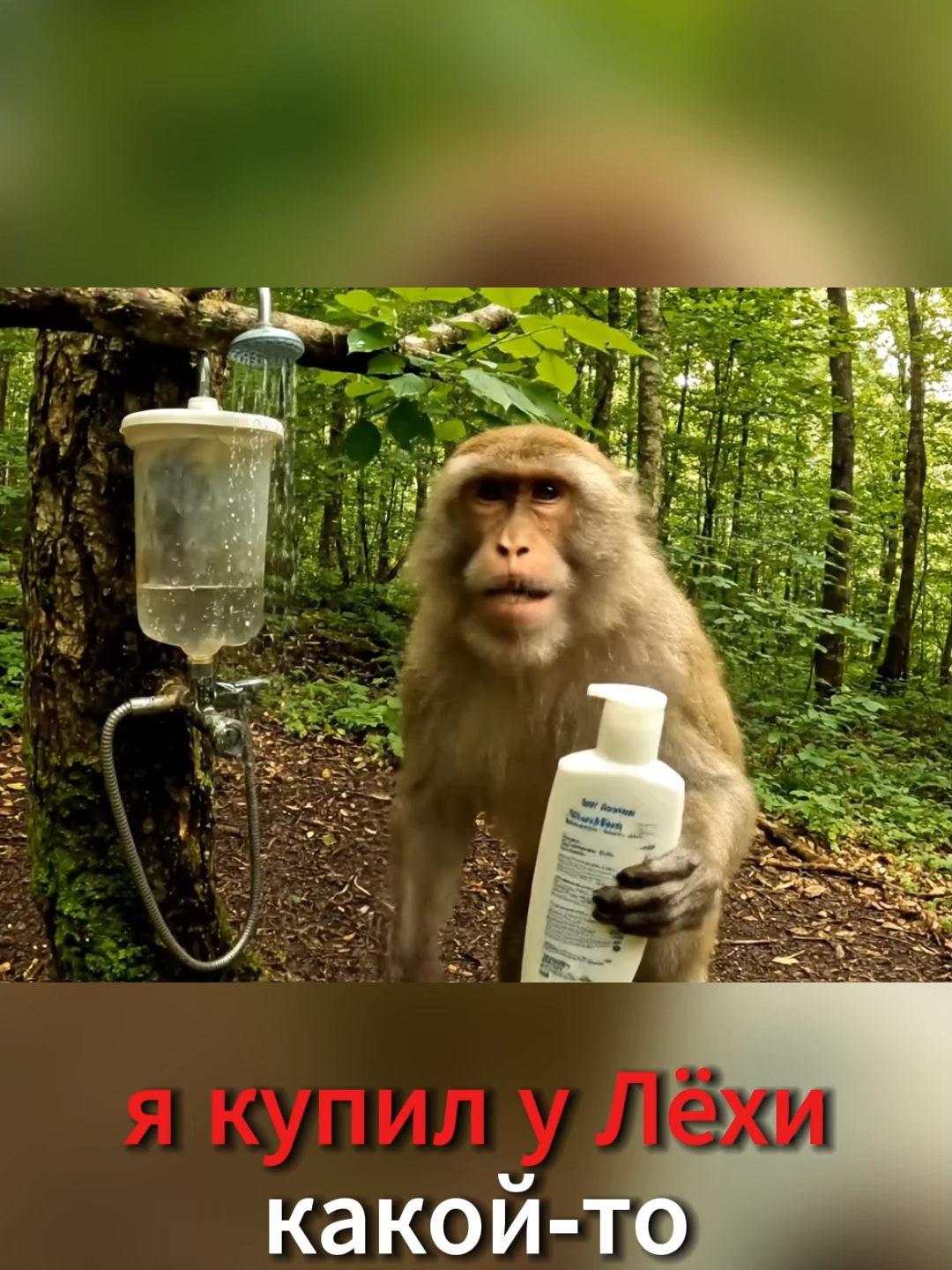 🎥 GoshaVlog #64 | Лёха подсунул мне какой-то не тот шампунь! 😅🧴🤯 #gosha #monkeygosha #leha #monkeyleha #vlog #fyp #goshavlog #leshavlog