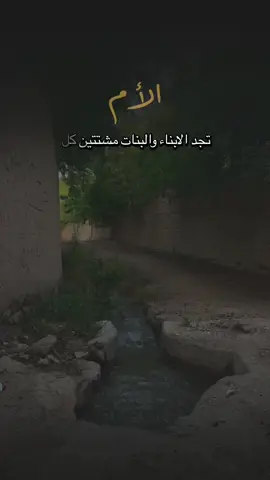 الأم عماد كل بيت 🤍🤍
