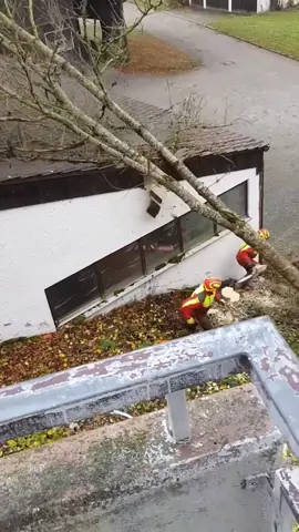 An accident occurred while logging #fyp #tiktok #foryou #logging 