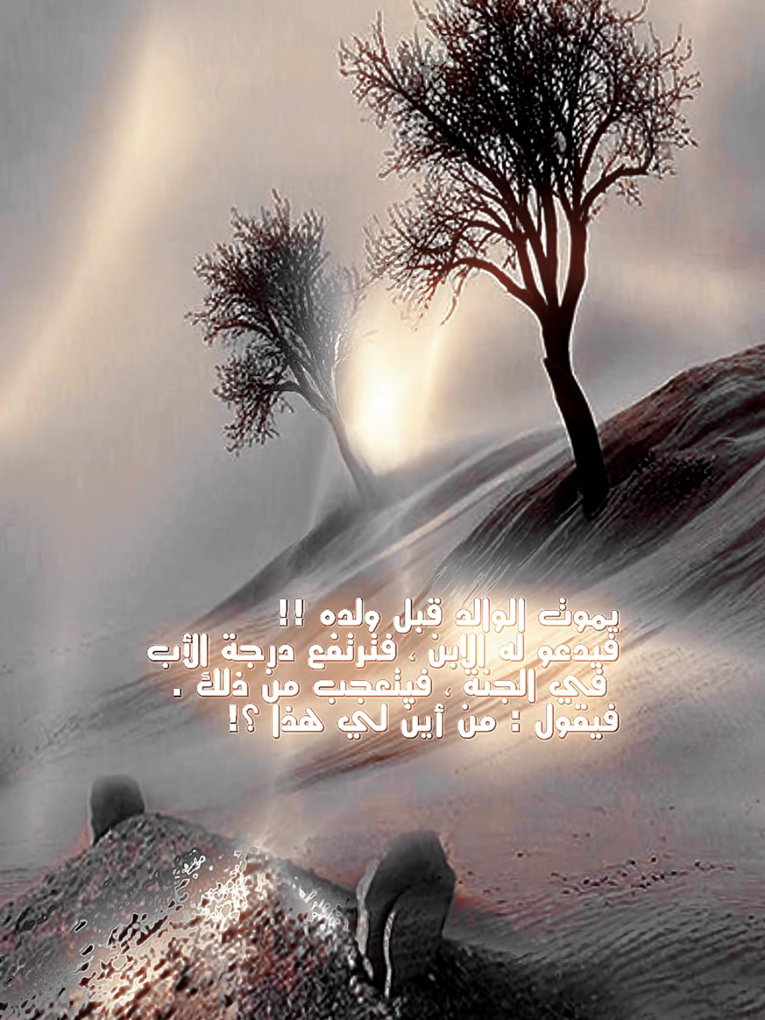 #يموت_الوالد_قبل_ولدهه#ان_الله_وملائكته_يصلون_على_النبي_ #صلوا_عليه_وسلموا_تسليما #يامن_تحبون_النبي_صلو_عليه💬🍂 #ألف_الصلاة_والسلام_عليك_ياحبيب_الله_محمد #اذكار_المساء_صلوا_علي_نبينا_محمد #ان_الله_وملائكته_يصلون_على_النبي_🕋❤🕌 #لال_البيت_عز_لا_يزول #يامن_تحبون_النبي_صلو_عليه💬 #creatorsearchinsights2025 #ربي_صلي_وسلم_وبارك_على_محمد #فاح_العبير_إذا_ذكرت_محمدا #النبي_الامين #صلى_علي_النبي_محمد_صلى_الله_عليه_وسلم🤲 #وأفرش_بساط_الحب_حب_محمد #اخر_ساعة_من_يوم_الجمعه_واخر#اللهم_صلي_على_نبينا_محمد💓🕋📿❤🥰، #صلوات_الله_عليك_يا_حبيبي_يا_رسول_الله #رسول_الله #واليك_قلبي_كل_حين_يخفق #صلاة_الله_ما_مطر_ترقرق #يوم_الجمعة_اللهم_صل_على_نبينا_محمد #دعاء_الوالدين_في_يوم_الجمعة #دعاء_لامواتنا_و_اموات_المسلمين