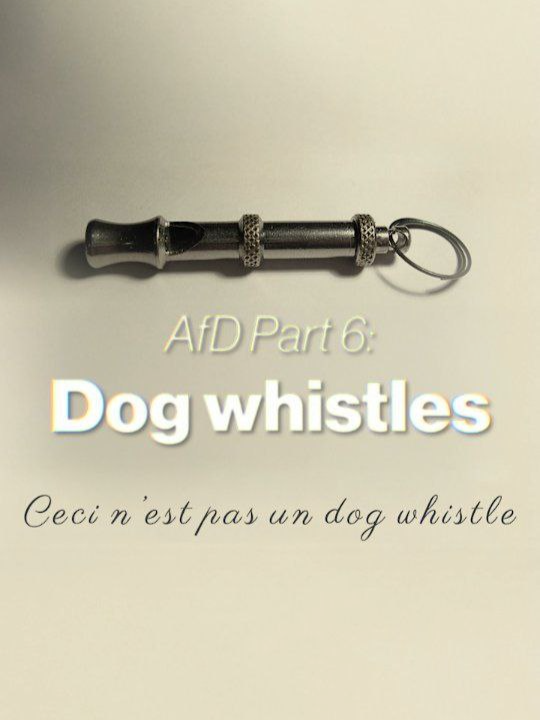 What are dog whistles and how does the AfD use them? #politics #afd #germany #maximiliankrah #maxkrah #aliceweidel #fyp #farright #dogwhistle