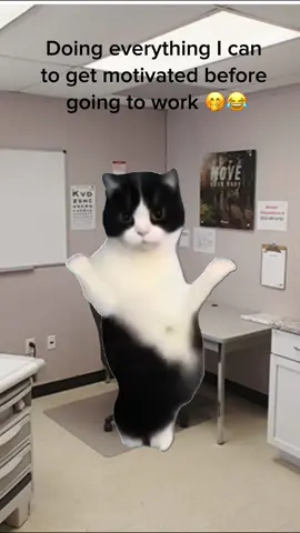 #Meme #MemeCut #healthcare #medicalassistant #worklife 
