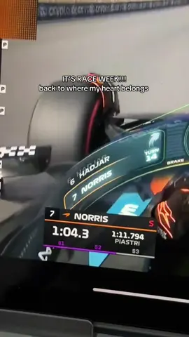 purple sectors 🫠 @LN⁴ @Lando Norris  #f1 #formula1 #dutchgp #zandvoort #landonorris 