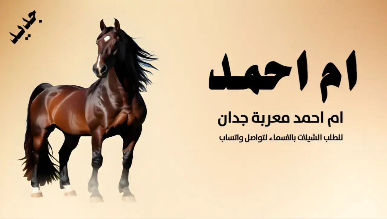 شيلة ام العريس ام احمد#اكسبلور #اكسبلور explore# السعودية 🇸🇦#الشعب _الصني _ماله _ حل😂😂#for you #you 