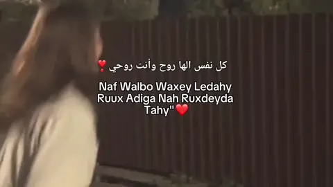 #❤️....#fypシ゚ #Hayatt⭐🎀 #foryou #viraltiktok 