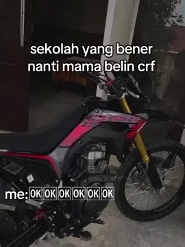 #crf #crf150L #std 