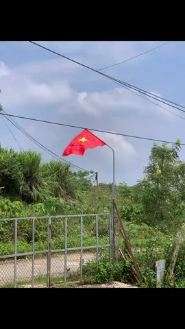 Tôi yêu VIỆT NAM ❤️ 