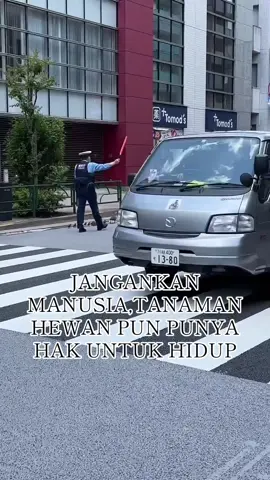 BEDA KELAS GAUSAH DI BAHAS  al-fatihah pejuang keluarga affan kurniawan. #magangjepang♥️日本 #jepang #polisiindonesia🇮🇩 #polisijepang #fyp 