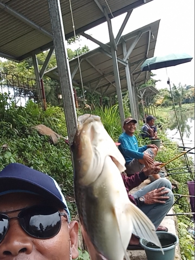 senangnya kalo dapet ikan duluan,iso ngece sik hurung oleh.🎣🤭