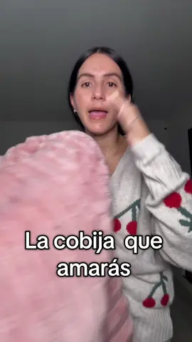 Striped Flannel Blanket. La cobija viral de tik tok. La mejor cobija de tik tok. #blanket #viralblanket #cuteblanket #tiktokshoplaborday #tiktokshopcreatorpicks @Bedsure 